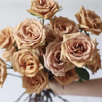 Фото розы тоффи, дополненное шикарным букетом
