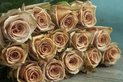 Фотка розы тоффи в формате jpg для использования в дизайне