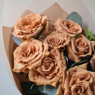 Изображение розы тоффи, идеальное для фонового изображения