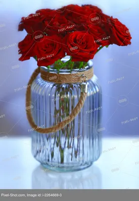 Фотка розы в элегантной вазе: разнообразие форматов для выбора