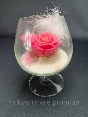 Фотка розы в бокале: романтическое настроение