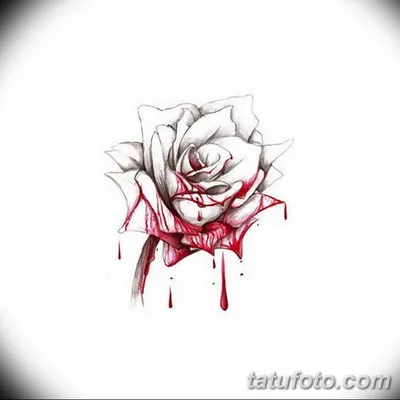 Роза в кроваво-красных тонах на картинке