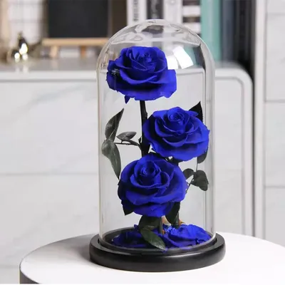 Изображение розы в стекле - уменьшенный размер, webp