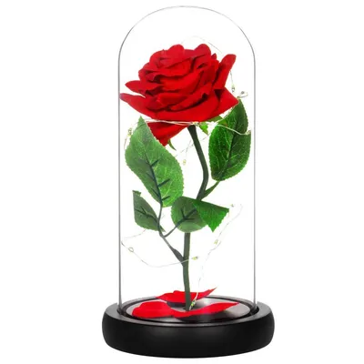Фото розы в стекле - оригинальный размер, jpg