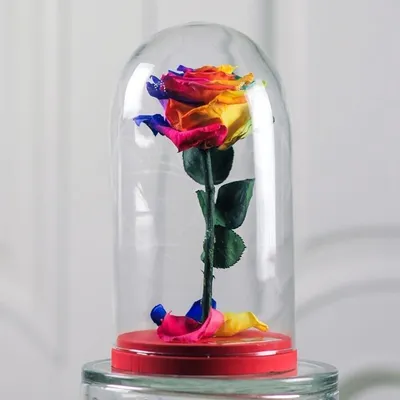 Роза в стекле - увеличенный размер, jpg