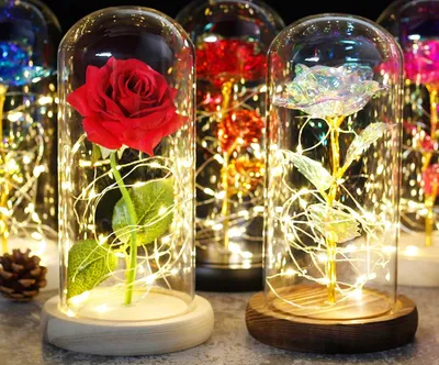 Розы в стекле - уменьшенный размер, png