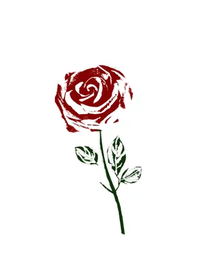 Фото розы валентины: среди них вы найдете свое идеальное изображение