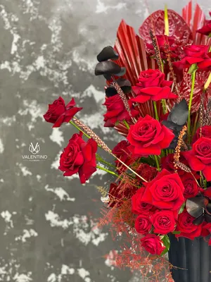 Прекрасное изображение розы валентино в jpg