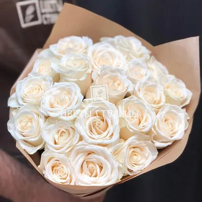 Фото розы Вендела в разных форматах