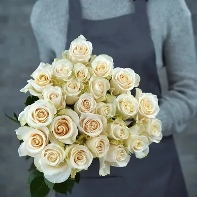 Изображение розы Вендела для загрузки