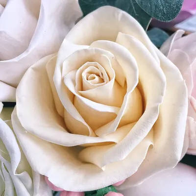 Восхитительное изображение розы венделла во всей красе 