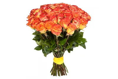 Захватывающая фотка розы вуду в webp формате для скачивания