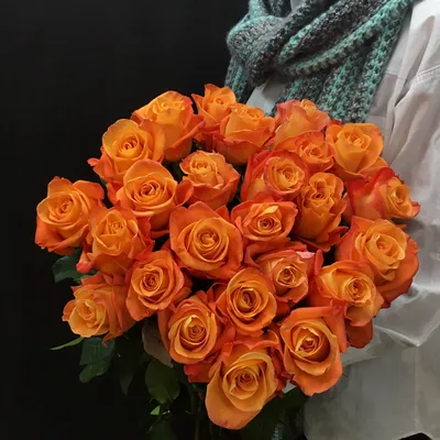 Фантастическая фотка розы вуду в webp формате