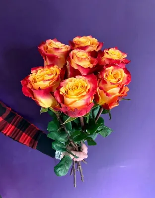 Ошеломляющее изображение розы вуду в png формате