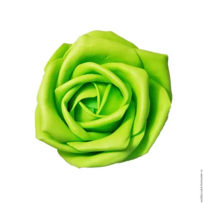 Картинка розы зеленый чай в png-формате для белого фона