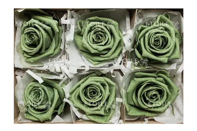 Изображение красивой розы вареный из зеленого чая