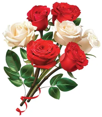 Восхитительная картина розы зиси на фото: погрузитесь в мир красок