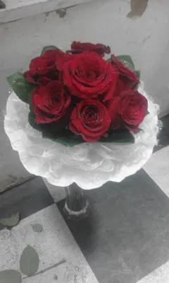Фотка розы зиси: создавайте великолепные композиции с этой красотой