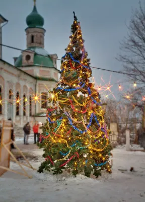 Рождественская елка  фото