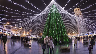 Фотографии Рождественских елок в различных форматах