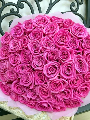 Розовая роза на фотографиях: красивые снимки для декорирования интерьера