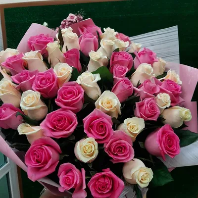 Изображение Розовой Розы на черном фоне в WebP формате