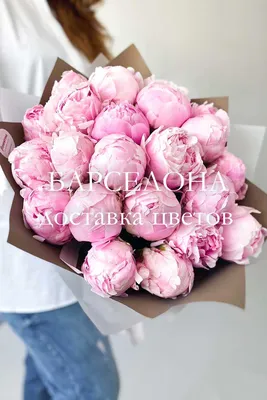 Волшебные розовидные пионы: красота, запечатленная в фото