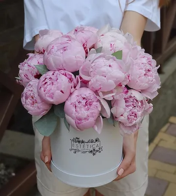 Фотографии розовых пионов: пленительные оттенки на снимках