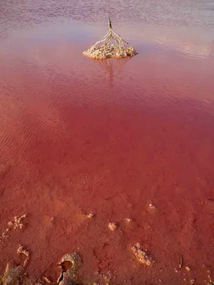 Уникальные кадры Розового озера Хиллер в Австралии
