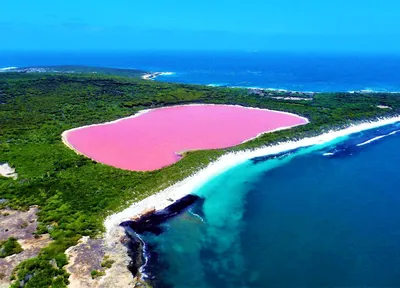 Розовое озеро хиллер австралия фотографии