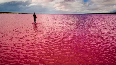 Потрясающая фотография Розового озера Хиллер Австралия - незабываемые впечатления от неповторимого озера