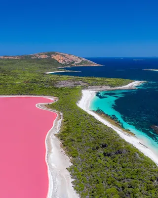 Розовая гармония природы: Розовое озеро Хиллер