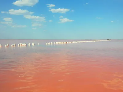 Розовое озеро в Крыму: Фотографии в 4K разрешении для качественного погружения