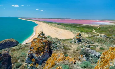 Изумительное Розовое озеро в Крыму (фото)