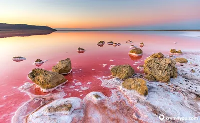 Лучшие фото Розового озера в Крыму: Погрузитесь в его необычайную красоту