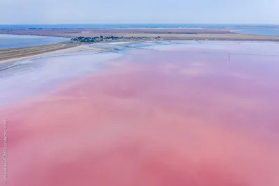 Бесплатно скачать фото Розового озера в хорошем качестве (JPG, PNG, WebP)