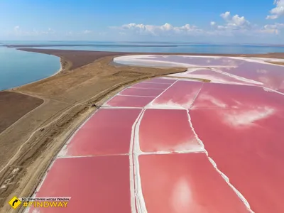 Удивительный пейзаж: Розовое озеро на фото