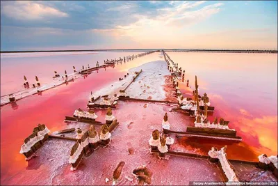 Фотографии Розового озера: прикосновение к удивительному