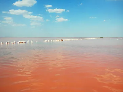 Фото-путешествие к Розовому озеру: знакомство с произведением искусства