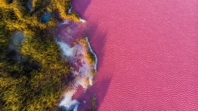 Фотосессия на Розовом озере: магические кадры