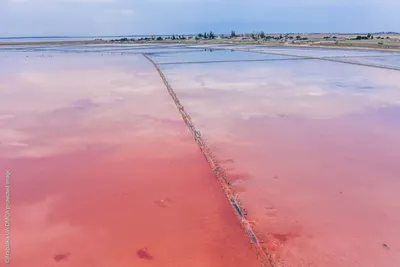 Движущиеся gif изображения Розового озера