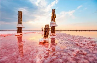 Скачать бесплатно качественную фотографию Розового озера