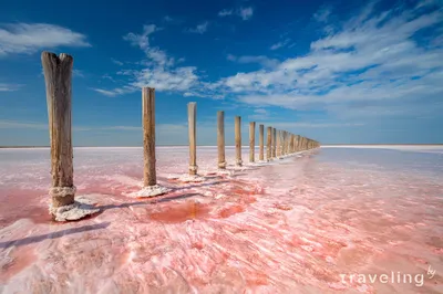 Фоновое изображение Розового озера для айфона