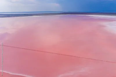 Великолепная фотография Розового озера в Full HD разрешении