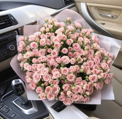 Розовые кустовые розы в формате jpg