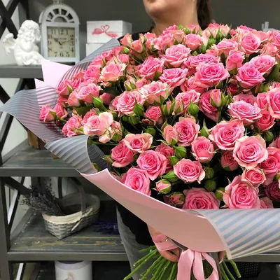 Изображение розовых кустовых роз для дизайна