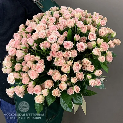 Картинка розовых кустовых роз в формате png