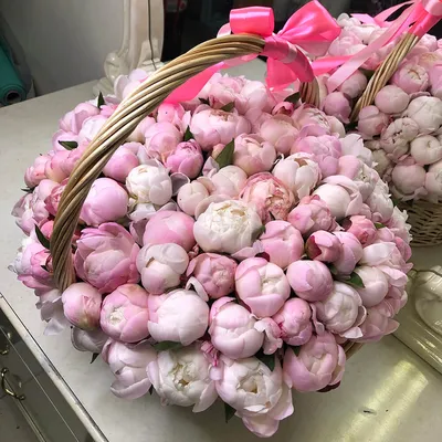 Фото розовых пионов: выберите желаемый формат