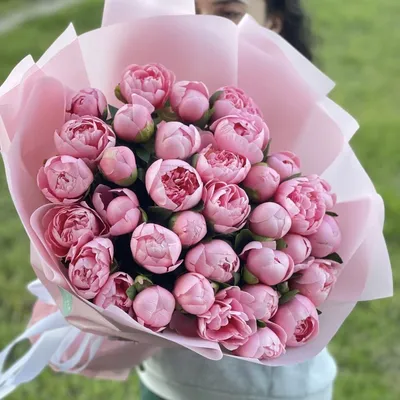 Изображение розовых пионов: выберите подходящий размер