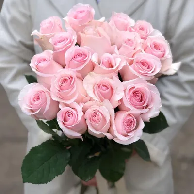 Удивительные фото розовых роз: скачивайте их в нужном вам формате